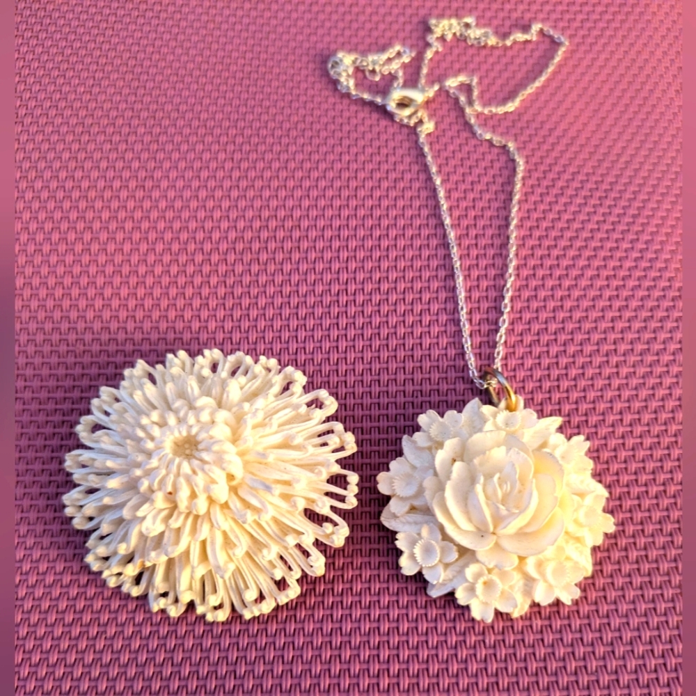 Jewelry Brooch and Necklace